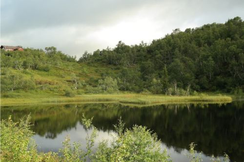 Ruta de los Pilones